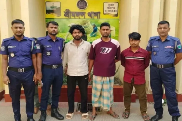 ১৪ বছর বয়সী কিশোরীকে গণধর্ষণের অভিযোগ, গ্রেপ্তার ৩