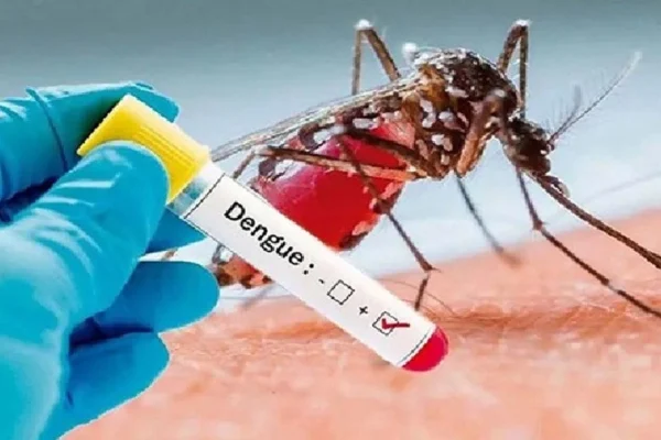 ডেঙ্গুতে আরও ৫ জনের মৃত্যু, হাসপাতালে ভর্তি ১৮৯৮